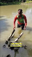 Mencari Ikan Dengan Perangkap Bambu Dapat Ikan Banyak