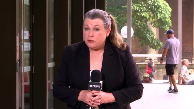 Former Liberal staffer cross-examined at hearing