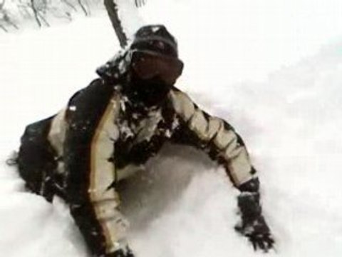 Le grizzly de Tignes