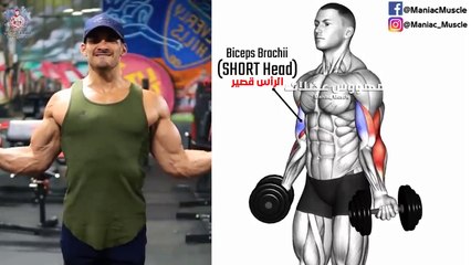 9 BEST BICEPS EXERCISES TO GET WIDE ARMS WORKOUT !