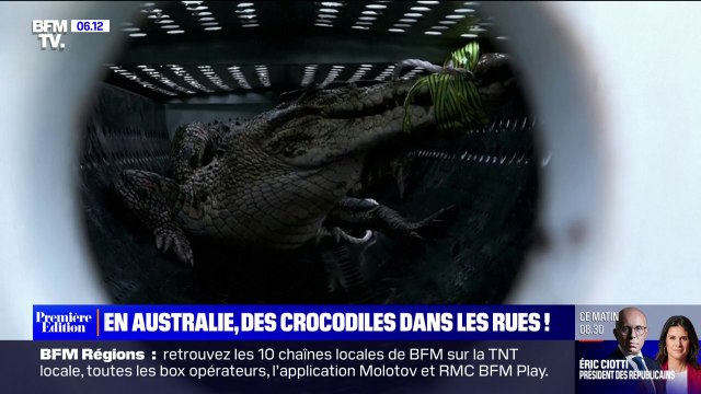 Inondations en Australie: des crocodiles aperçus dans les rues à cause des crues