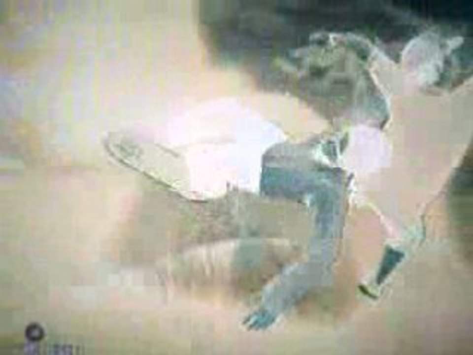 EA skate park systeme D