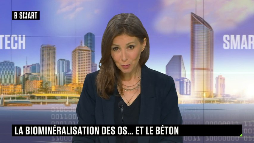 La biominéralisation des os… et le béton 