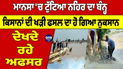 ਮਾਨਸਾ 'ਚ ਟੁੱਟਿਆ ਨਹਿਰ ਦਾ ਬੰਨ੍ਹ, ਕਿਸਾਨਾਂ ਦੀ ਖੜੀ ਫਸਲ ਦਾ ਹੋ ਗਿਆ ਨੁਕਸਾਨ, ਦੇਖਦੇ ਰਹੇ ਅਫਸਰ |OneIndia Punjabi