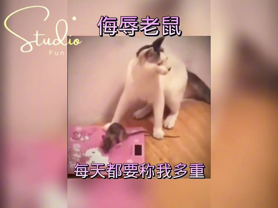 Funny show121518