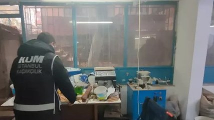 İstanbul'da fildişi mamut ve bufalo boynuzları ile balina dişleri ele geçirildi