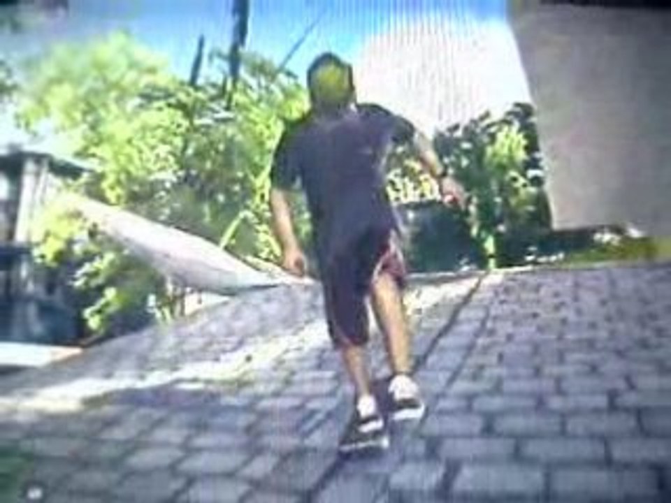 EA skate la vengence de dyrdek