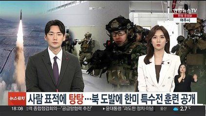 Download Video: 사람 표적에 '탕탕'…북한 도발에 한미 특수전 훈련 공개