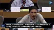 Una delegación europea investiga en Cataluña por qué el castellano sólo se usa en plástica o gimnasia