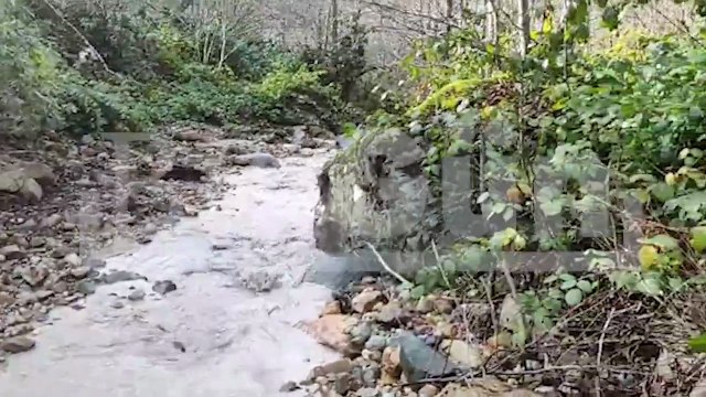 AKP milletvekili vadiyi zehirliyor!