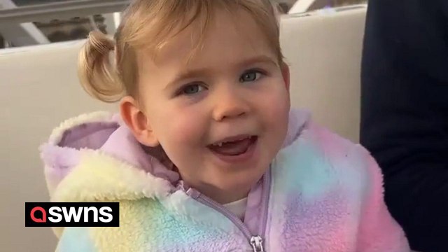 Scottish toddler shouts Hullo doon there from top of Ferris wheel