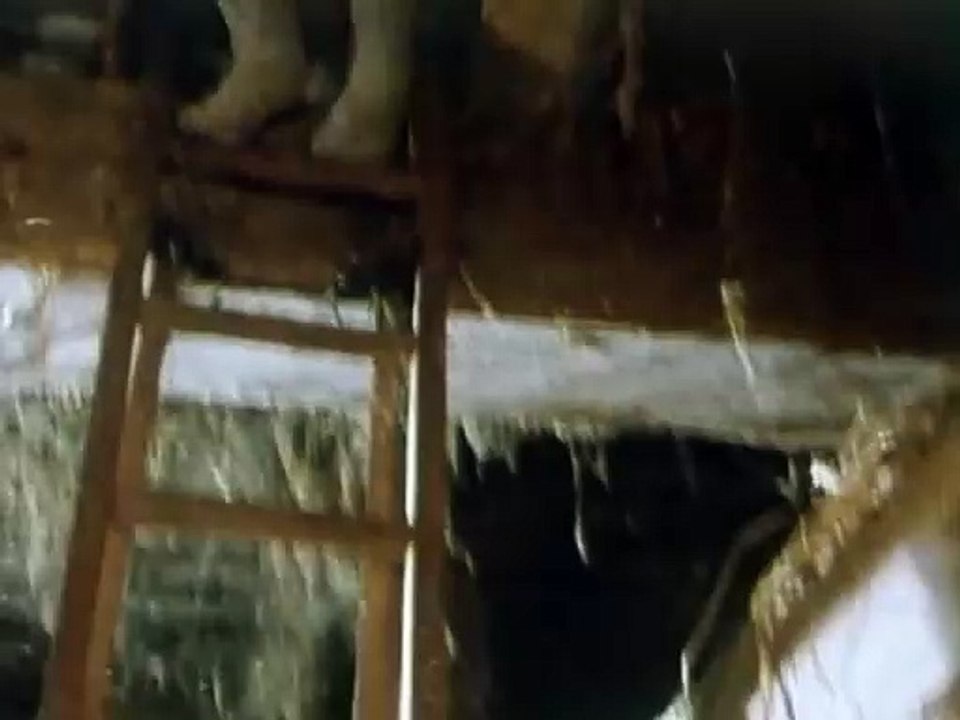 Maresa Hörbiger upskirt - Derrick - Der Mann aus Portofino (1976)