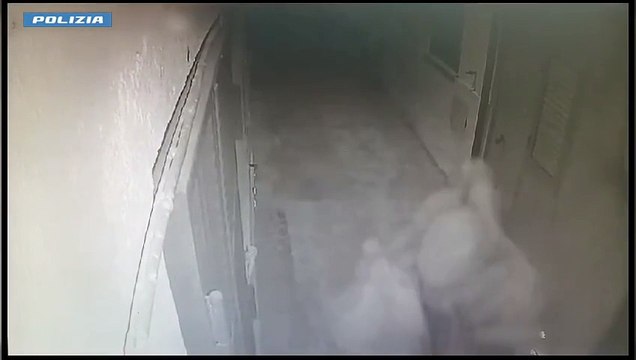 Joppolo, coltivazione e produzione di sostanze stupefacenti e detenzione abusiva di armi: due arresti