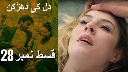 دل کی دھڑکن   Heart Beat - Episode 28