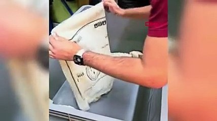 Kapıkule’de otomobilde 33 piton ele geçirildi