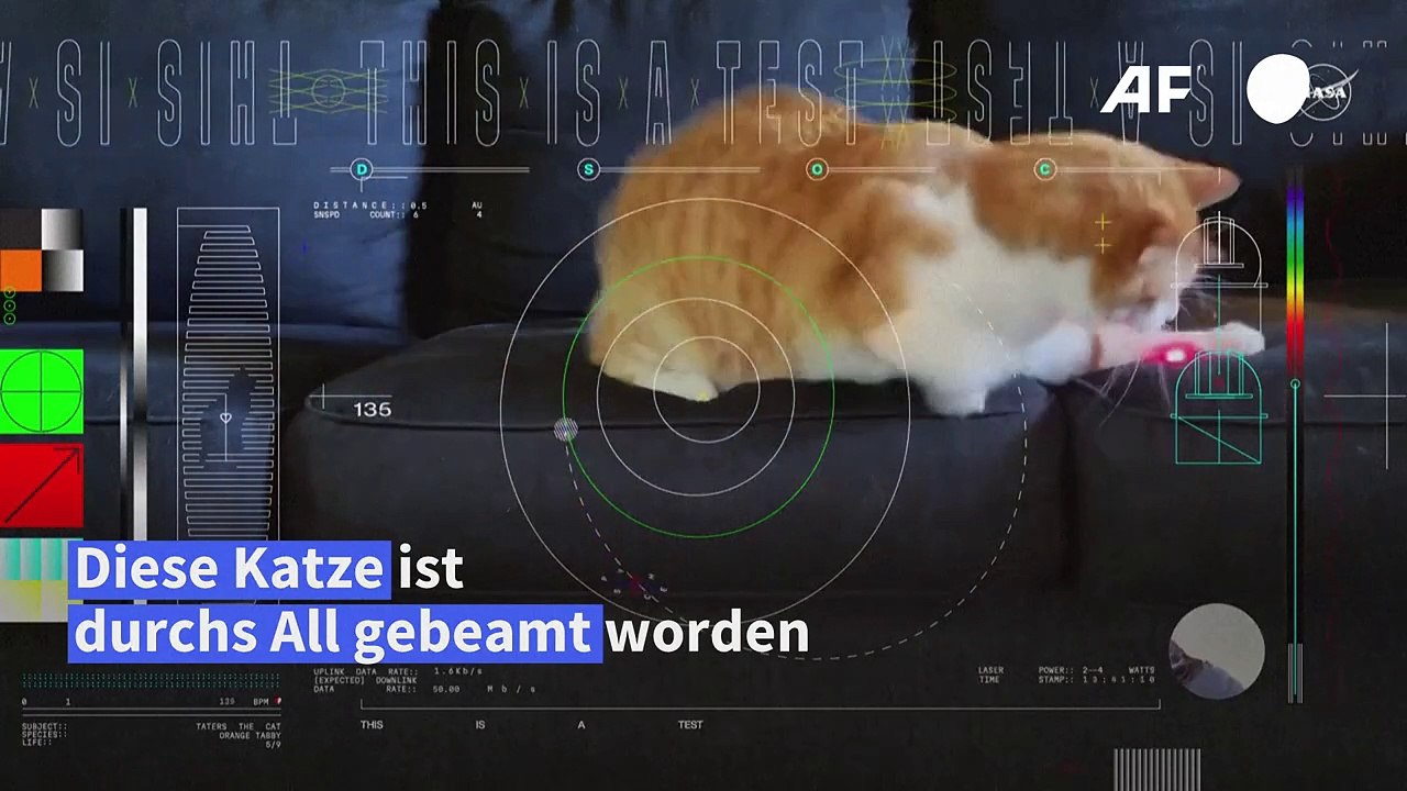 Die Katze aus dem All