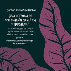 -Jacobo Shemaria Capuano- Importancia de conservación de áreas naturales: (Parte 1) (Creado por @JacoboShemariaCapuano)