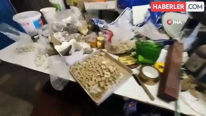 İstanbul'un göbeğinde kaçakçılık operasyonu! 52 parça boynuz ele geçirildi