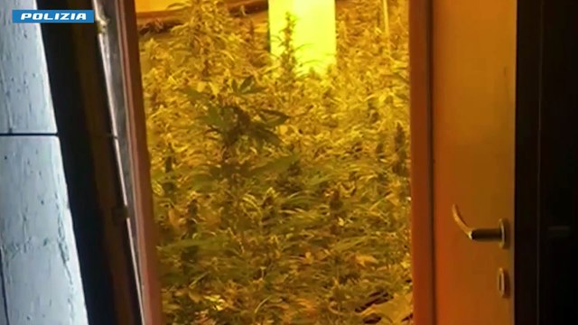 In pensione coltiva marijuana, arrestato 76 enne a Niscemi