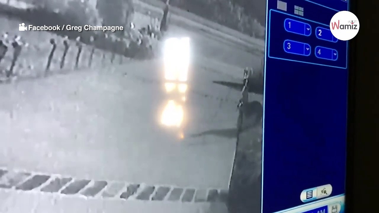 Wer zerstört ständig die Weihnachtsdeko am Haus? Überwachungskamera entlarvt Übeltäter!