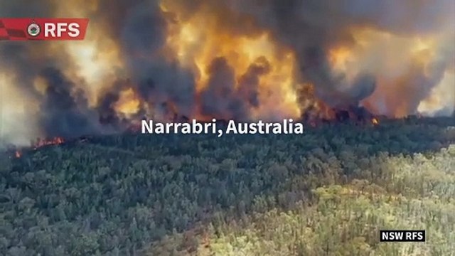 Australian firefighters battle raging bushfire