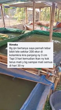 Penutup kolam itu WAJIB atau TIDAK❓Simak penjelasannya agar kalian faham