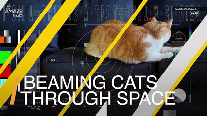 NASA’s 'Deep Space Optical Communications' Test Succeeds After Sending an Ultra-HD Video of a Cat 19 Million Miles Across the Solar System