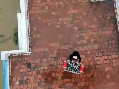 तमिनाडु में तबाही, 3 गर्भवती महिलाओं समेत 100 लोगों को IAF ने किया रेस्क्यू