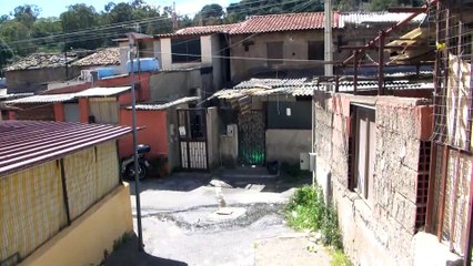 Rtp Telegiornale 19 dicembre 2023