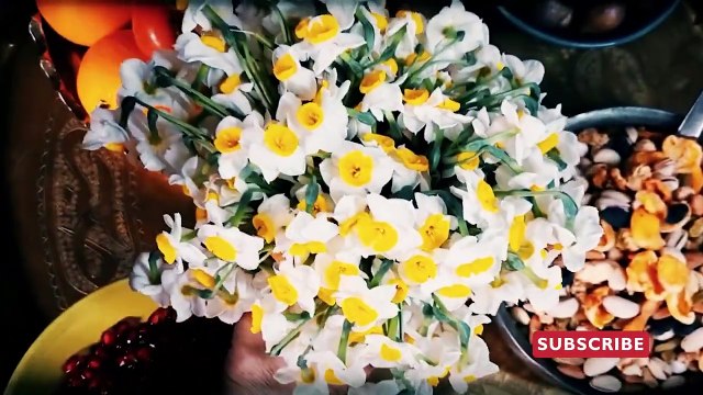 Yalda - Hadi Feizabadi | یلدا - هادی فیض آبادی