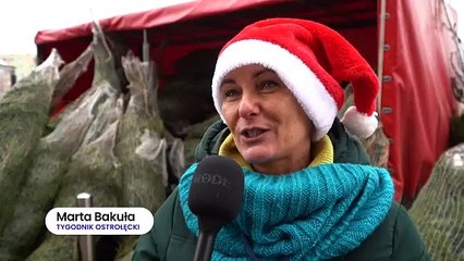 Drzewko za makulaturę