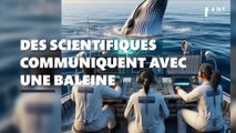 Des scientifiques sont parvenus à communiquer avec une baleine