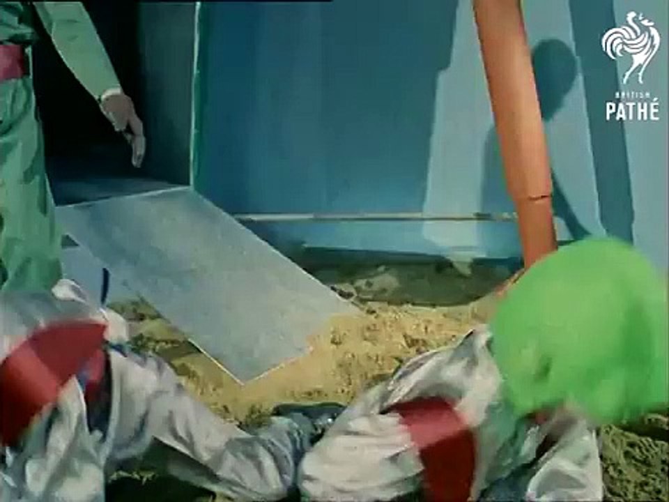 Moroccan Village (1960)