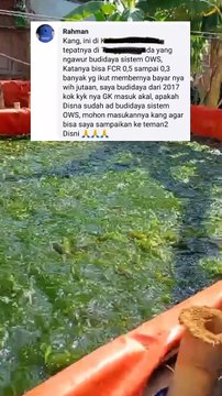 Ada Sistem TERBARU dalam budidaya ikan lele, katanya FCR bisa 0,5 bahkan 0,3 Sistem apakah itu❓