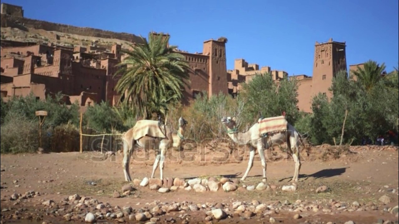 معلومات عن الامازيغ