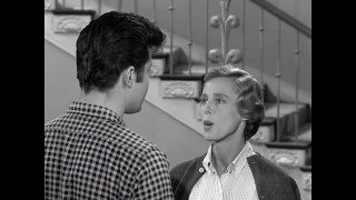 The Beverly Hillbillies - Jed Buys Stock - S1E5