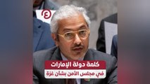 كلمة دولة الإمارات في مجلس الأمن بشأن غزة