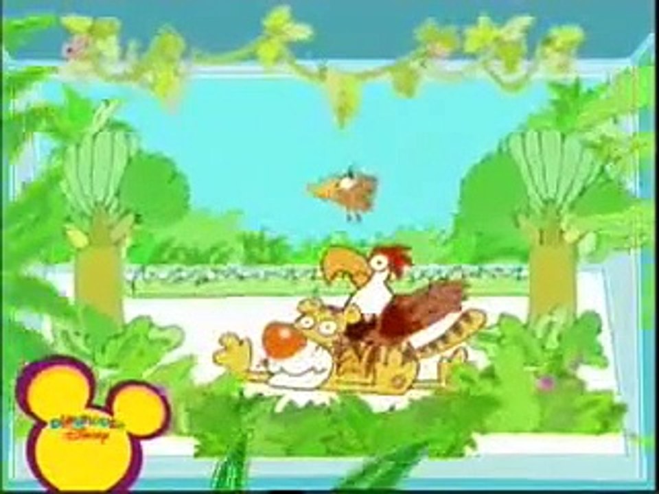 Chissà  perchè  Il Pappagallo