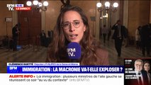 Projet de loi immigration: Clémence Guetté (LFI) appelle à 