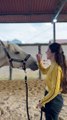 Cute Horse Giving Kisses and Hugs