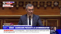 Projet de loi immigration: Gérald Darmanin dénonce 