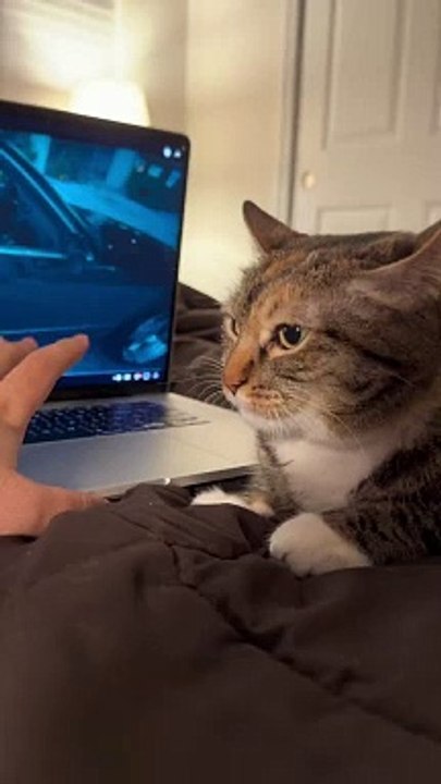 we tried doing the phone on the ceiling trend but it was way too difficult  #surroundsound #jid #cats #21savage #rap #hiphop #raptok #cat #catsoftiktok #dreamville #fyp