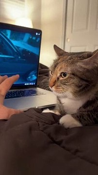 we tried doing the phone on the ceiling trend but it was way too difficult #surroundsound #jid #cats #21savage #rap #hiphop #raptok #cat #catsoftiktok #dreamville #fyp