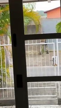 Ladrões são presos após furtos em Criciúma