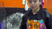 Mulher mostra porque banho em husky siberiano é o mais caro do petshop
