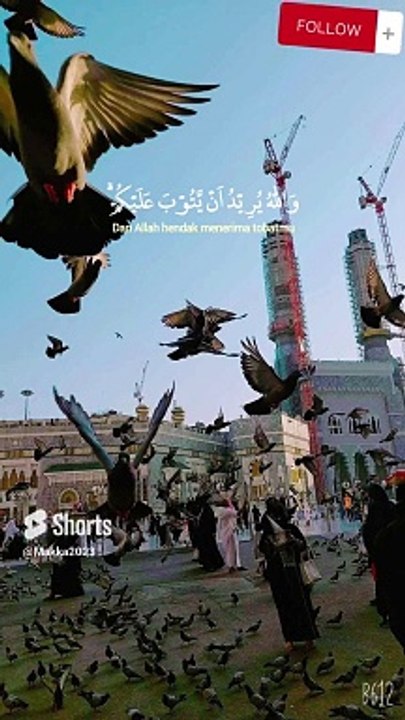 والله يريد ان يتوب عليكم