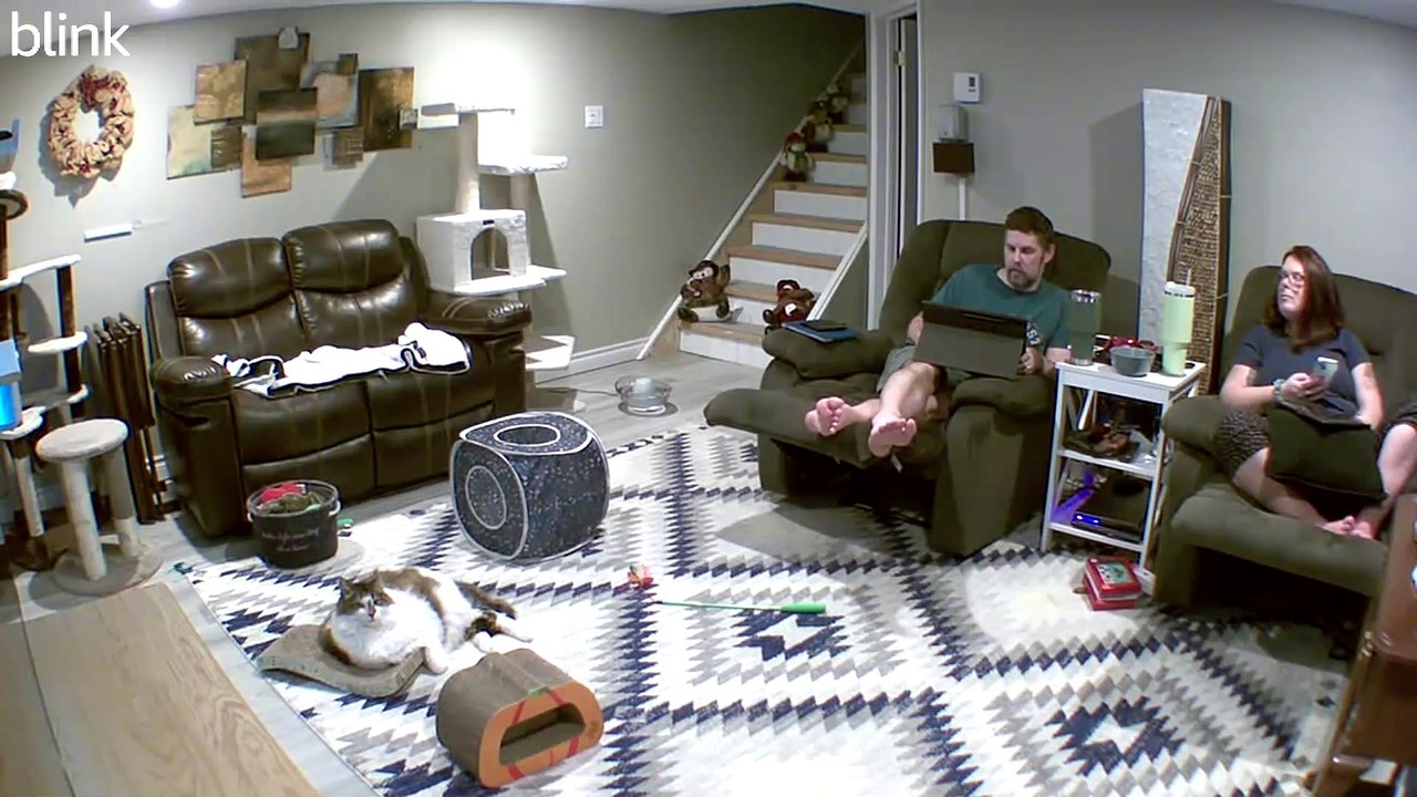 Cat Greets Security Camera