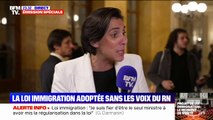 Loi immigration: pour laure lavalette (rn), 
