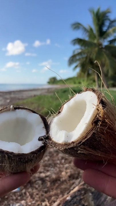 Ouvrir une noix de coco !