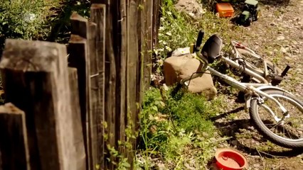 Frühling -13- Zu früh geträumt